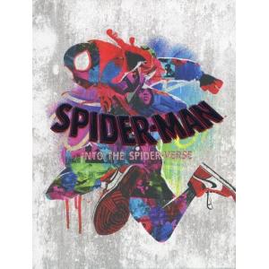 スパイダーマン:スパイダーバース プレミアム・エディション(初回生産
