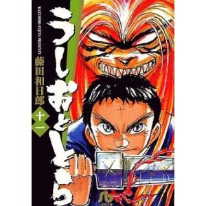 藤田和日郎　うしおととら　ワイド版　全18巻　＋　小説　全4巻 送料無料 ワイド版 うしおととら 全18巻 藤田和日郎 中古