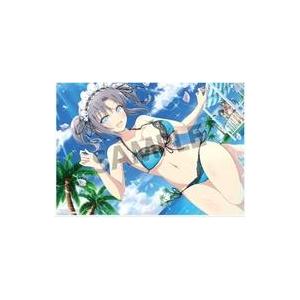 新品雑貨 雪泉(81の日爆乳祭) ビジュアルアクリルプレート 「シノビマスター 閃乱カグラ NEW ...