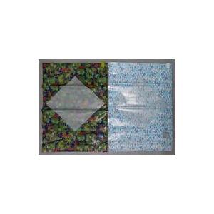 中古雑貨 ポケモンコンシェルジュ 圧縮袋2枚セット 「ポケットモンスター」 ポケモンセンター限定