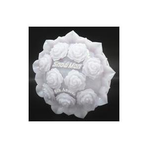 SnowMan Dome Tour 2024 RAYS オフィシャルグッズ オリジナルペン