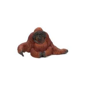 カプセルqミュージアム ワイルドラッシュ4 Wild Rush4 真 世界動物誌 第4弾 アジア 熱帯編 全5種セット コンプ コンプリート C アミュームショップ 通販 Yahoo ショッピング