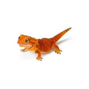 コレクタ CollectA フトアゴヒゲトカゲ トカゲ フィギュア 88567 コレクタ CollectA フトアゴヒゲトカゲ トカゲ フィギュア 88567