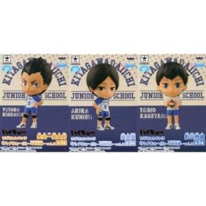 メガハウス ちびきゅんキャラ ハイキュー！！ ラスト1点の攻防 烏野 全