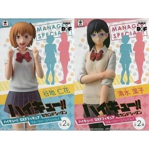 未開封一番くじ ハイキュー ?10th anniversary? A賞 日向翔陽