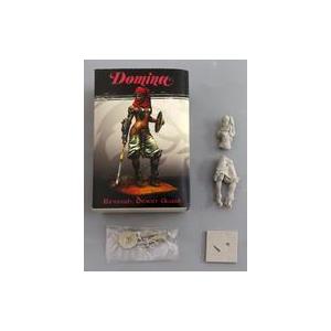 中古フィギュア 砂漠の守り人ライーサ 「Domina」 レジンキャスト製組立キット