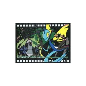 Pokemon（ポケモン） 【送料無料】ポケモンカードゲーム デッキ