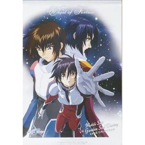 中古カレンダー 機動戦士ガンダムSEED DESTINY 2006年度カレンダー