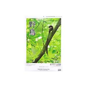 中古カレンダー ジャパンプレスフォト 2022年度 野鳥カレンダー(壁掛けカレンダー)