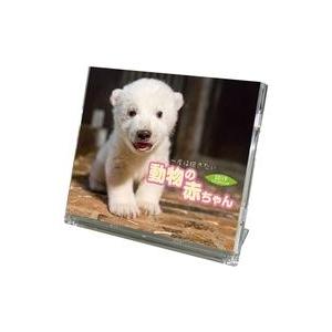 中古カレンダー 一度は抱きたい動物の赤ちゃん(祝日訂正シール付き) 2019年度卓上カレンダー