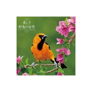中古カレンダー 美しき野鳥の世界(祝日訂正シール付き) 2019年度カレンダー