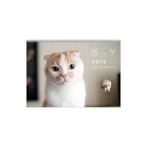 中古カレンダー ポッケ 2019年度カレンダー