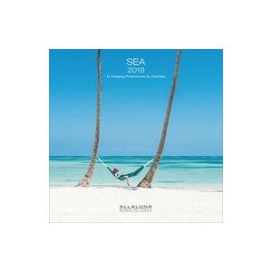 中古カレンダー SEA(輸入版) 2019年度カレンダー
