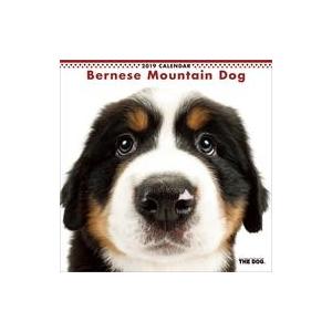 中古カレンダー THE DOG バーニーズ・マウンテン・ドッグ 2019年度カレンダー
