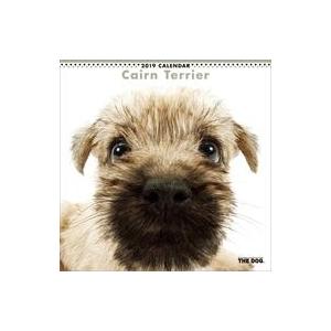 中古カレンダー THE DOG ケアーン・テリア 2019年度カレンダー