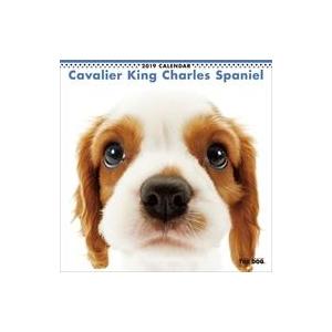 中古カレンダー THE DOG キャバリア・キング・チャールズ・スパニエル 2019年度カレンダー