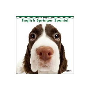 中古カレンダー THE DOG イングリッシュ・スプリンガー・スパニエル 2019年度カレンダー