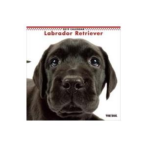 中古カレンダー THE DOG ラブラドール・レトリーバー 2019年度カレンダー