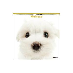 中古カレンダー THE DOG マルチーズ 2019年度カレンダー