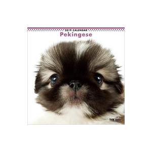 中古カレンダー THE DOG ペキニーズ 2019年度カレンダー