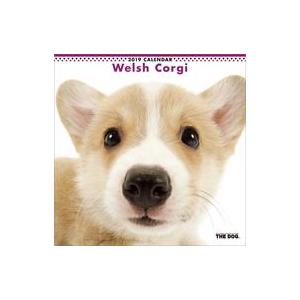 中古カレンダー THE DOG ウェルシュ・コーギー 2019年度カレンダー
