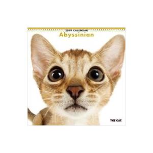 中古カレンダー THE CAT アビシニアン 2019年度カレンダー