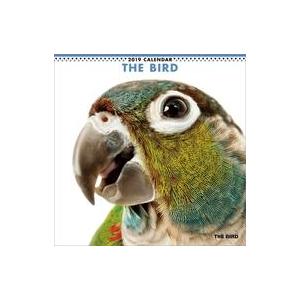 中古カレンダー THE BIRD 2019年度カレンダー