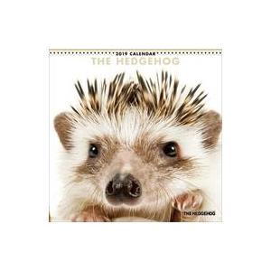 中古カレンダー THE HEDGEHOG 2019年度カレンダー