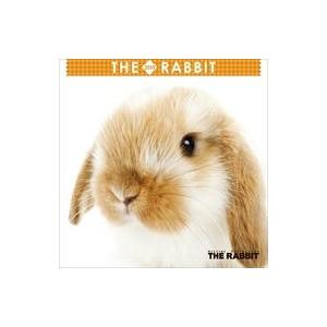 中古カレンダー THE RABBIT 2019年度ミニカレンダー