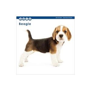 中古カレンダー THE DOG ビーグル 2019年度ミニカレンダー