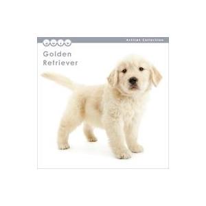 中古カレンダー THE DOG ゴールデン・レトリーバー 2019年度ミニカレンダー