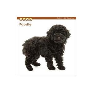 中古カレンダー THE DOG プードル 2019年度ミニカレンダー