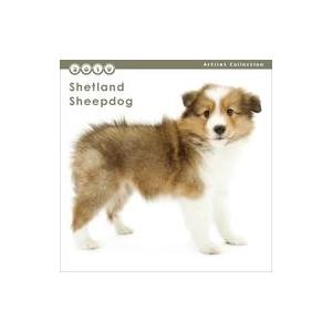 中古カレンダー THE DOG シェットランド・シープドッグ 2019年度ミニカレンダー