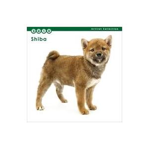 中古カレンダー THE DOG 柴 2019年度ミニカレンダー