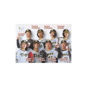 中古カレンダー 阪神タイガース 2024シーズンカレンダー 月刊タイガース2024年3月号特別付録