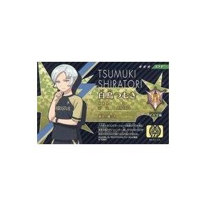 タカラトミー（TAKARA TOMY） イナズマイレブンTCG IES-07 世界への