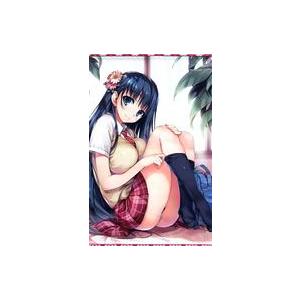 中古タペストリー トモセシュンサク描き下ろし 電撃萌王2014年12月号誌上通販