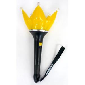 中古ペンライト・リングライト BIGBANG 王冠ペンライトver.4(ブラック) 「2014 BIGBANG+α IN SEOUL」