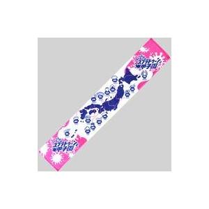中古タオル・手ぬぐい(キャラクター) 第4回スプラトゥーン甲子園 応援タオル 「Splatoon2(スプラトゥーン2)」 闘会議2019グ