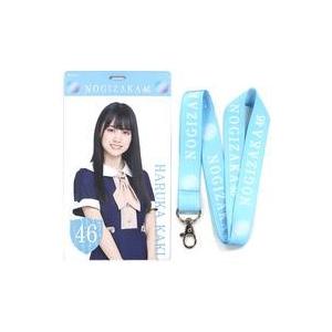 中古ペンライト・リングライト 賀喜遥香 個別スティックライト 乃木坂