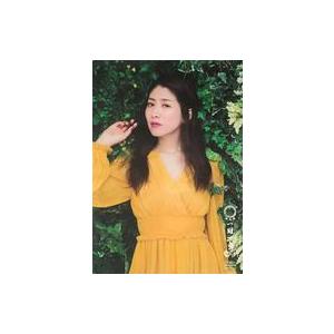 一期一会 ポスターの商品一覧 通販 Yahoo ショッピング