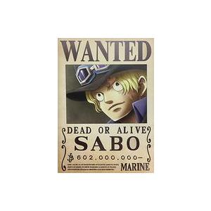 ONE PIECE 手配書 10枚セット ワンピース 麦わらの一味 新世界 エッグ
