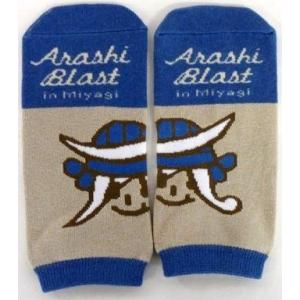 中古ソックス(男性アイドル) 嵐 靴下(ブラウン) 「ARASHI BLAST in Miyagi」