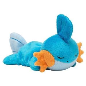 全高約38cm] ポケモンセンターオリジナル ふわふわ抱きぬいぐるみ