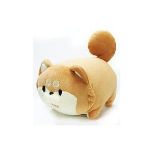 ボンレス犬・猫のぬいぐるみの買取情報