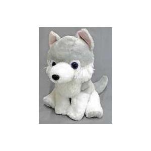 チャックスGP 汎用うさぎぬいぐるみ【MONOTONE】モノホワイト