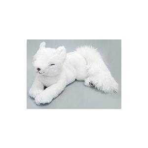 中古ぬいぐるみ ひざきつね(WH/ホワイト) ぬいぐるみ(M) 「ひざ 中古ぬいぐるみ ひざきつね(WH/ホワイト) ぬいぐるみ(M) 「ひざ