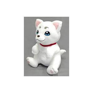 銀魂 定春 ぬいぐるみの商品一覧 通販 Yahoo ショッピング