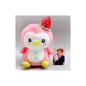 中古ぬいぐるみ ぽぽ(川西拓実) オリジナルカード付ぬいぐるみ 「JOCHUM」