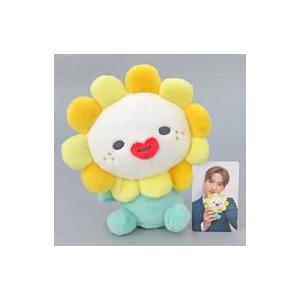 中古ぬいぐるみ Bira(佐藤景瑚) オリジナルカード付ぬいぐるみ 「JOCHUM」